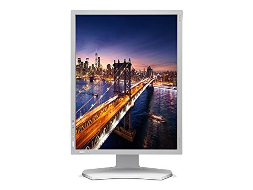 NEC P212-SV 21.0" 1600 x 1200 60 Hz Monitor