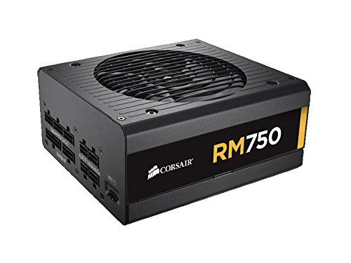 Corsair RM750 750 W 80+ Gold Certified Fully Modular ATX Power Supply