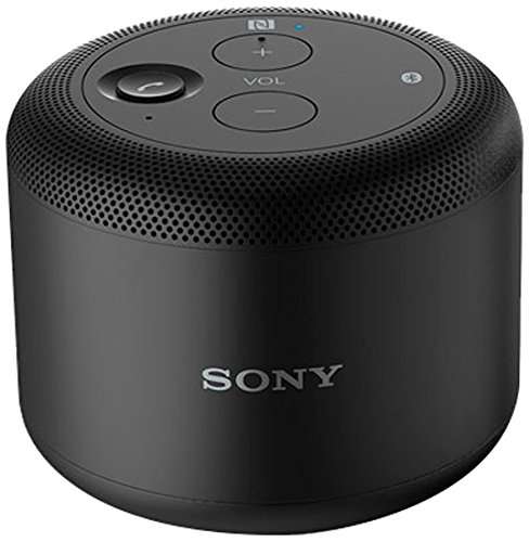 Sony BSP10 20 W 1.0 Channel Speakers