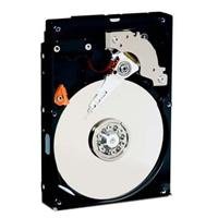 Western Digital RE2 320 GB 3.5" 7200 RPM Internal Hard Drive