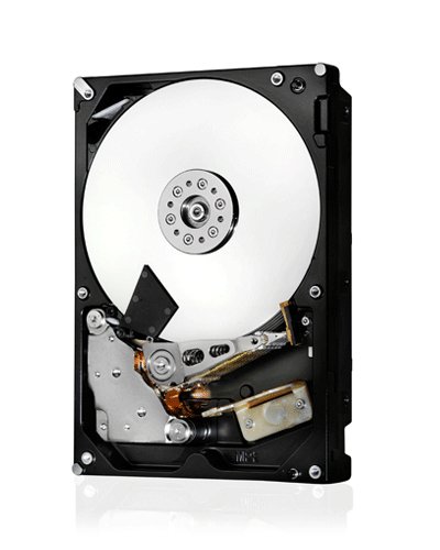 Hitachi 0F23090 4 TB 3.5" 7200 RPM Internal Hard Drive